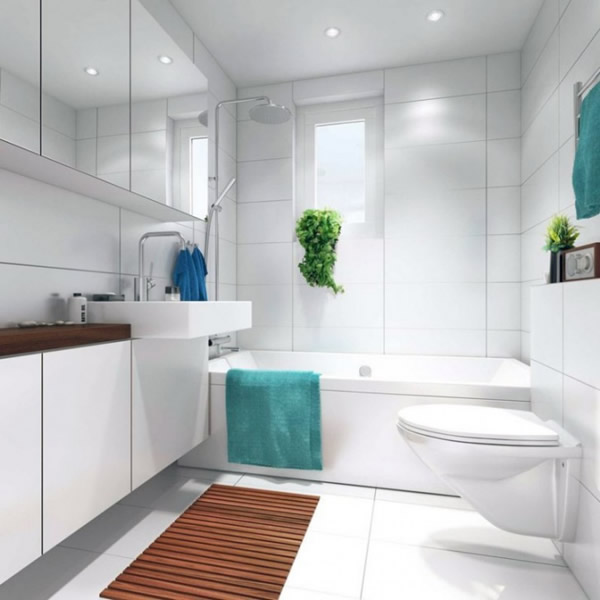 White Small Bathroom Decorating Layout