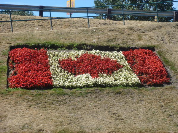 canadian-flag-flower-bed-26