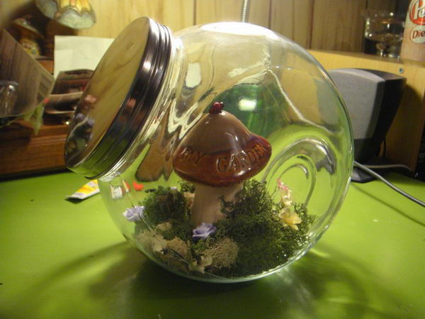 terrarium-for-faeries-30