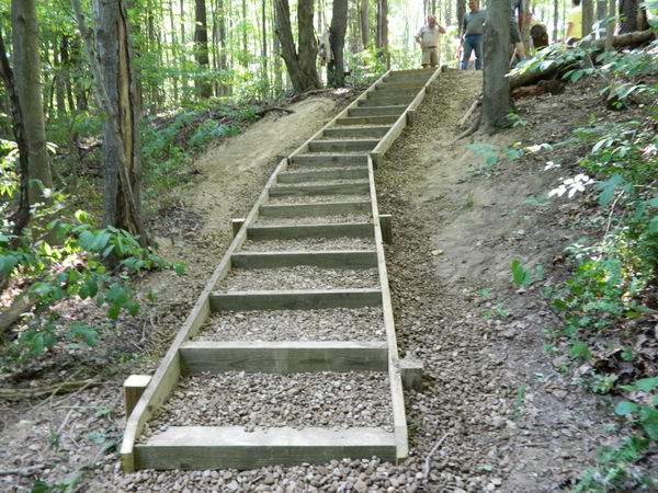 6-steps-eagle-scout-project