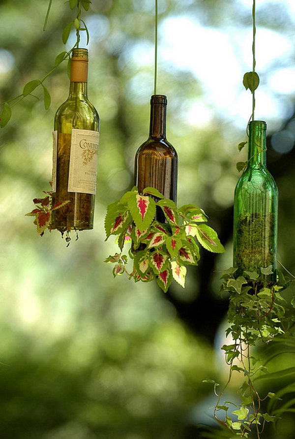 DIY Wine Bottle Hanging Planters. 