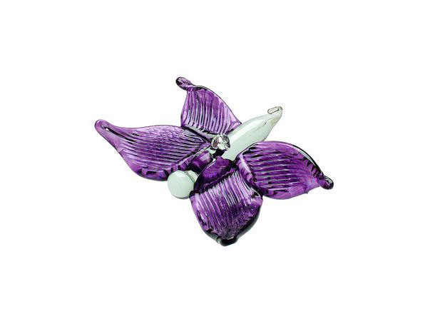 Purple Kitras Butterfly,