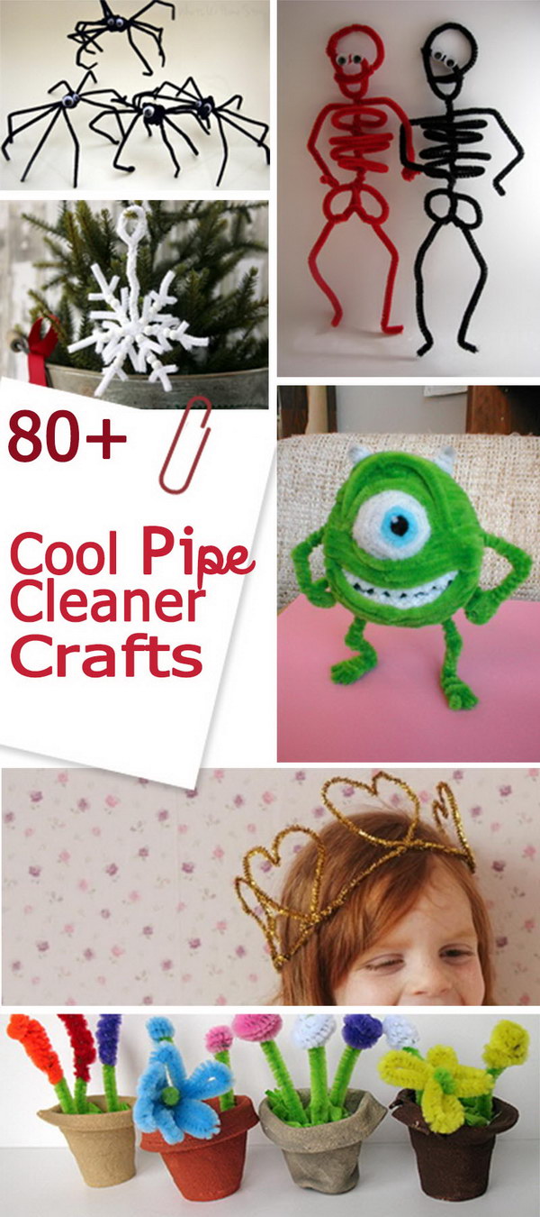 Cool Pipe Cleaner Crafts! 