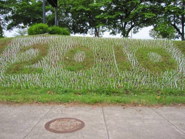 16-plastic-forks-in-the-grass