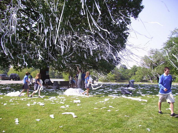 22-toilet-paper-on-trees