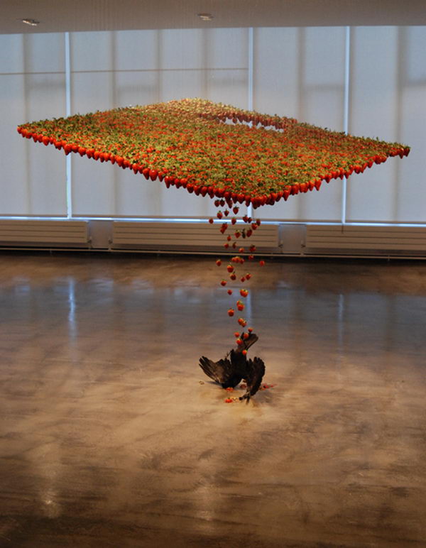 Fluid Art Installation. Created with strawberries, taxidermied crow, fishing hooks, nylon, and was exhibited at Building With Colour, Gallery North, Newcastle and Consumer, Palais de Tokyo, Paris. 