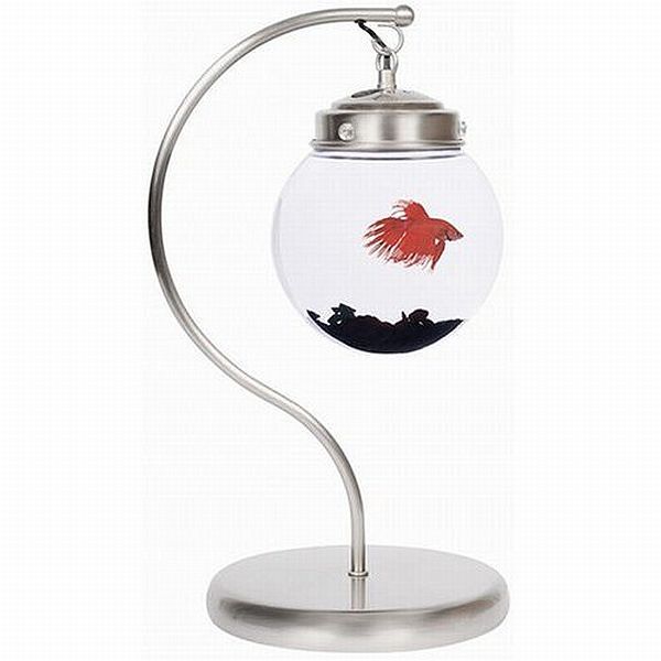 Hanging Fish Bowl. A rare design for aquarium, this hanging bowl acts as a perfect piece of house decor item.