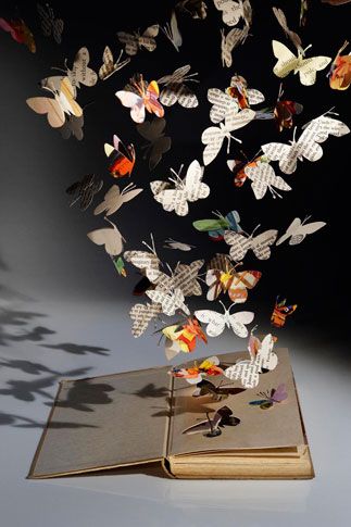 Butterflies in Book,
