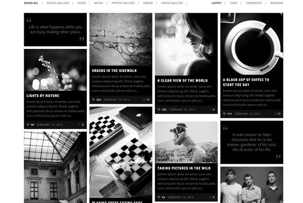 Inspire - A Multi-purpose, Masonry Theme. Inspire is a masonry grid based pinterest like theme. With its clean design it is great for projects that emphasizes a stylistic and modern look.