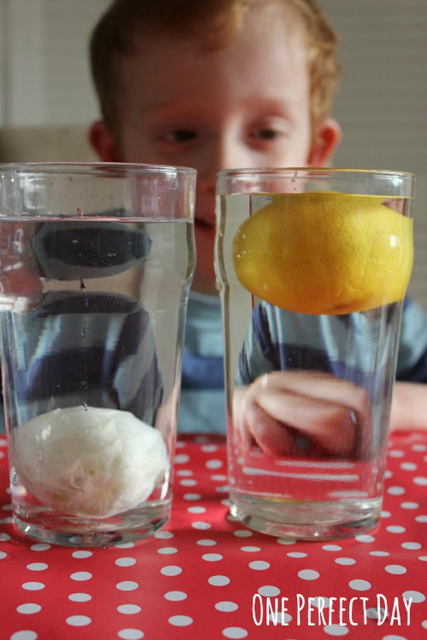 Sink or Float Lemons Science Project for Kids. The peeled lemon sank! The obvious prediction was that the peeled lemon would float since it weighed less than the lemon with the rind still on. The lemon rind acts like a life jacket – the rind is filled with air bubbles that keep the lemon afloat.