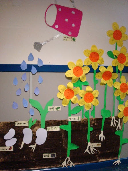 Plant Growth Board. A cool idea for spring science bulletin board in April.