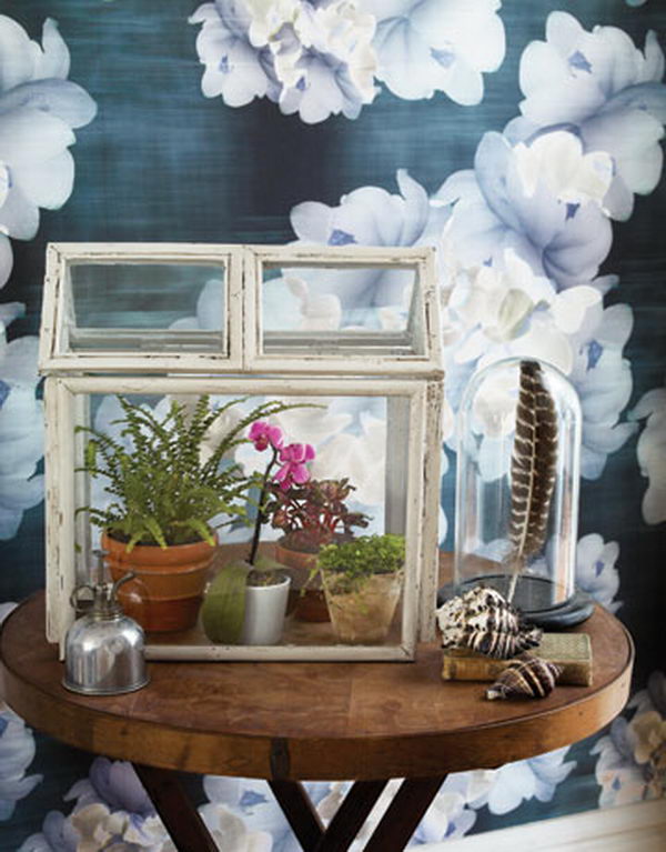 Mini Greenhouse. Recycle old wooden picture frames and build a Victorian style indoor oasis for your hothouse plants.