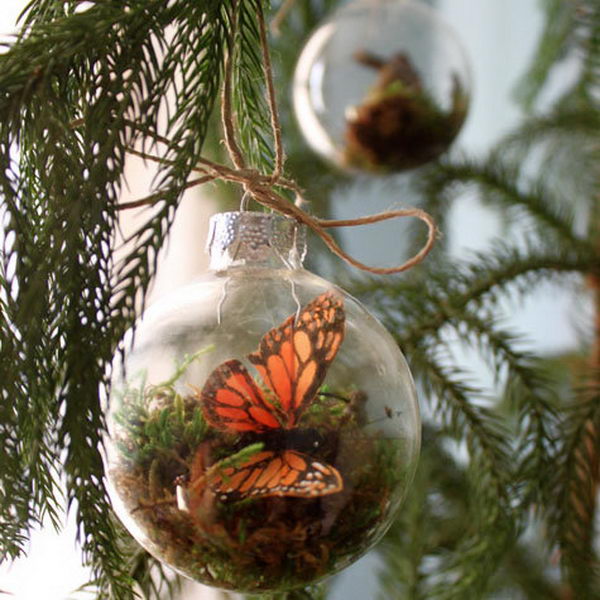 Hang Terrarium Ornaments on Tree. These ornaments are actually fake terrariums, by using dried sheet moss or reindeer moss, the ornament isn’t technically growing so it requires no care. Perfect for those of us who are excel at forgetting to water things.
