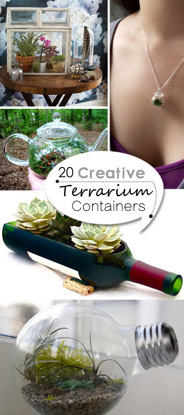 Creative Terrarium Containers!