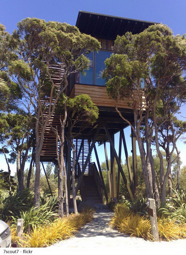 Hapuku Lodge, Kaikoura, New Zealand. Located a little over 6 miles north of the eco-tourism town of Kaikoura, Hapuku Lodge features five luxurious tree houses, three luxury suites, a unique luxury room that overlooks the pool and a one bedroom room.