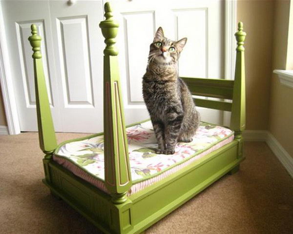 Cool Pet Bed Ideas. Unused stuff at your home can be recycled and turned into pet beds that looks packed yet stylish.