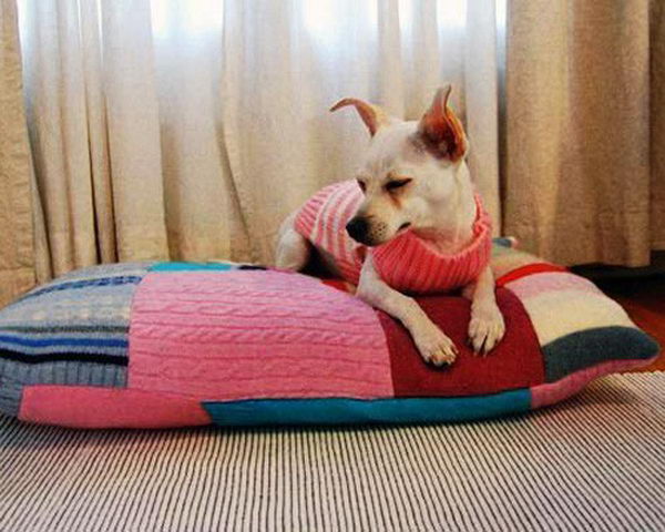 Cool Pet Bed Ideas. Unused stuff at your home can be recycled and turned into pet beds that looks packed yet stylish.