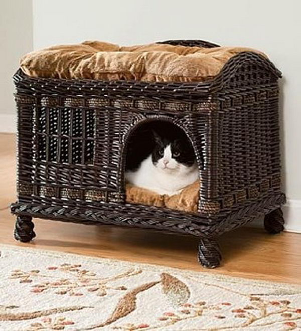 Cool Pet Bed Ideas. Unused stuff at your home can be recycled and turned into pet beds that looks packed yet stylish.