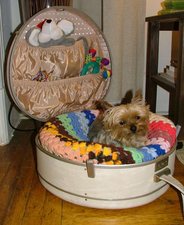 Cool Pet Bed Ideas. Unused stuff at your home can be recycled and turned into pet beds that looks packed yet stylish.