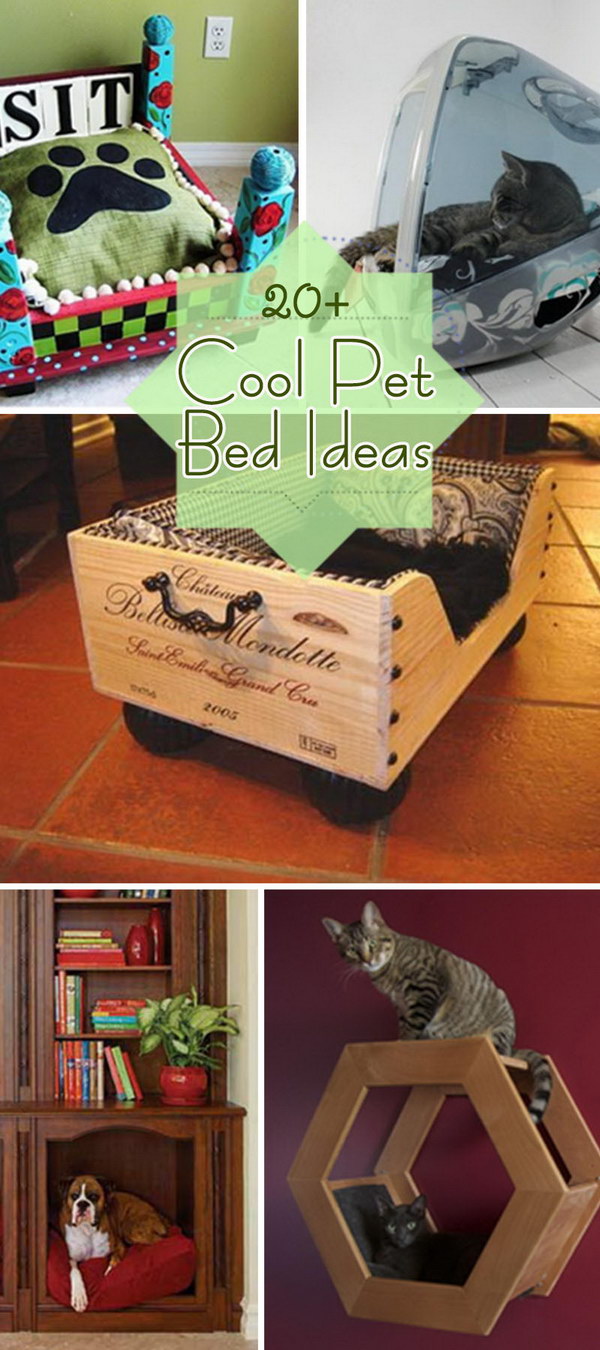 Cool Pet Bed Ideas!