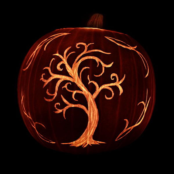 Tree Pumpkin.