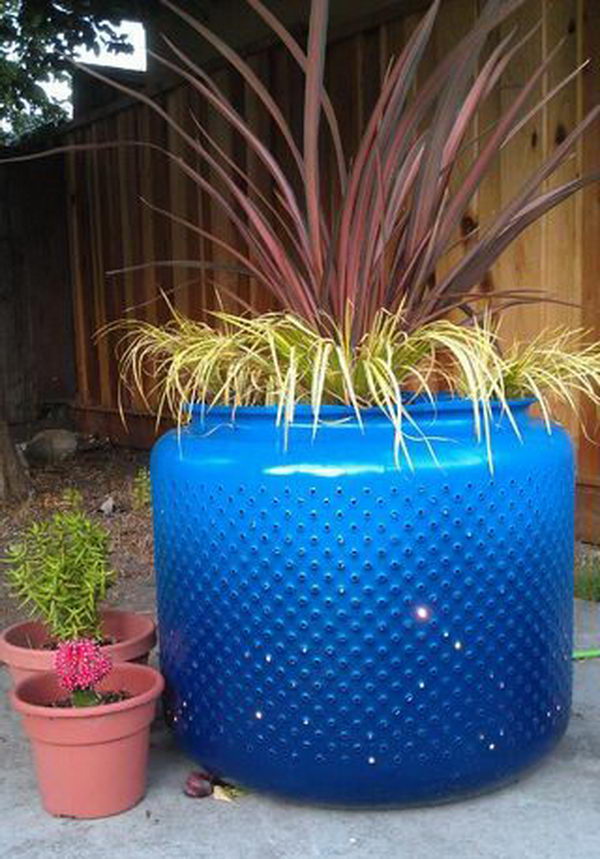 Washing Machine Drum Planter.