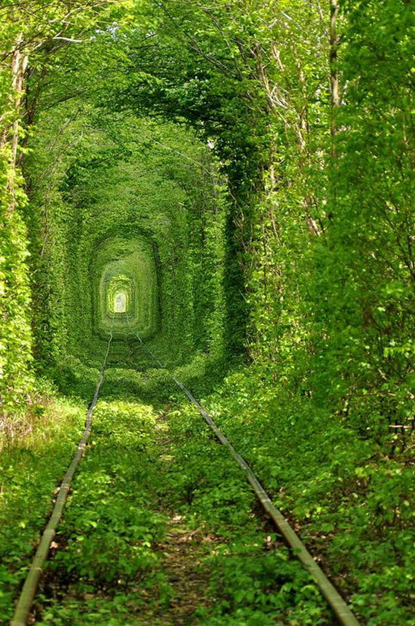 Located near the town of Kleven, this luscious green train tunnel is a popular spot for lovers' promises.