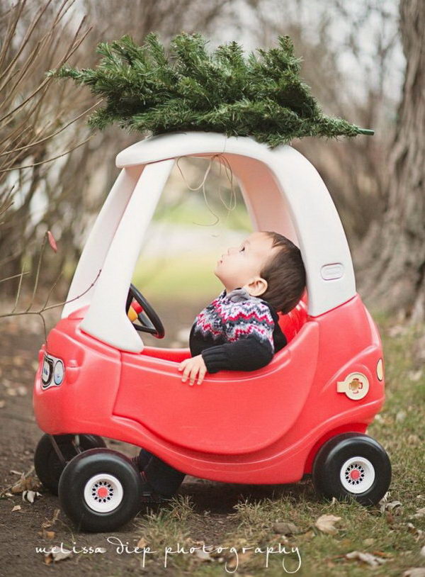 Baby Driving Tree.