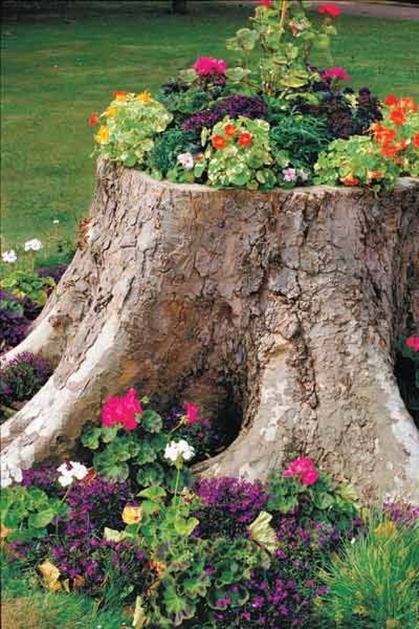 Tree stump planter. These container gardening ideas offer a great way to brighten your surroundings immediately. Make your home look different unique and interesting.