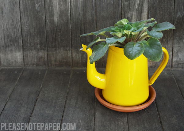 DIY upcycled pitcher planter. These container gardening ideas offer a great way to brighten your surroundings immediately. Make your home look different unique and interesting.