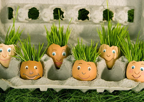 Eggshell planters. These container gardening ideas offer a great way to brighten your surroundings immediately. Make your home look different unique and interesting.