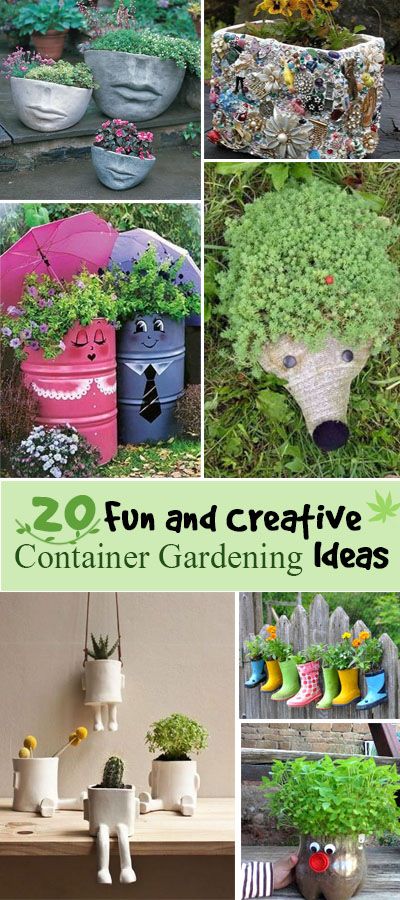 Fun and Creative Container Gardening Ideas. 