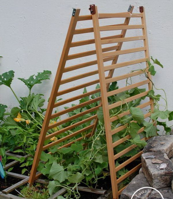 Garden trellis upcycled from old crib.
