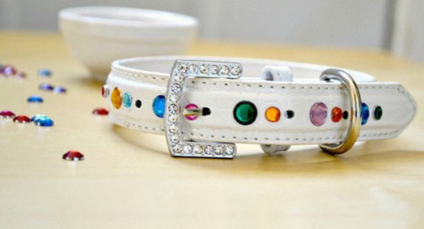 glamorous rhinestone collar. A fun and funky fashion statement for your pet.