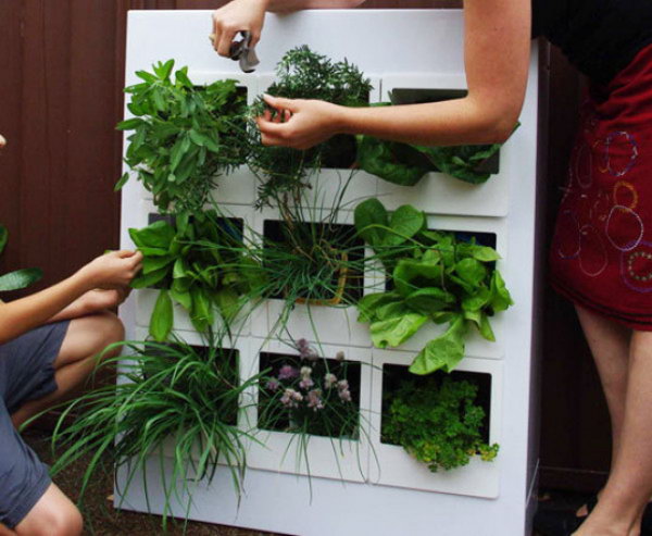 Vertical garden outfitted with modular cubby holes.