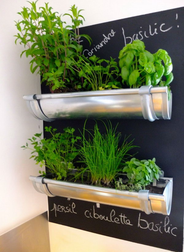 Gutters repurposed for herbs in the kitchen.