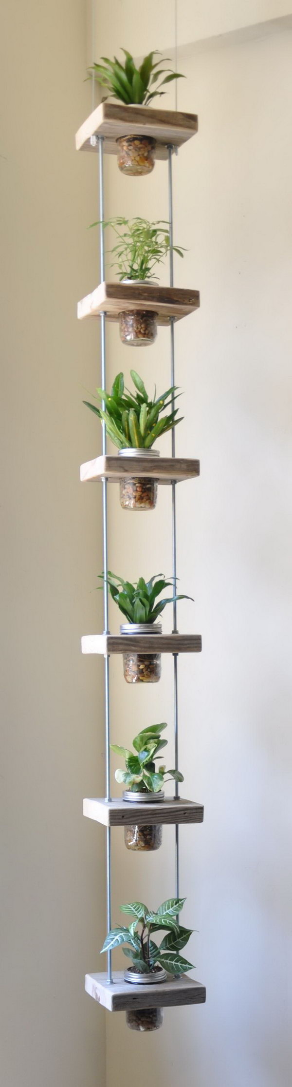 Vertical herb garden from salvaged wood and mason jars.