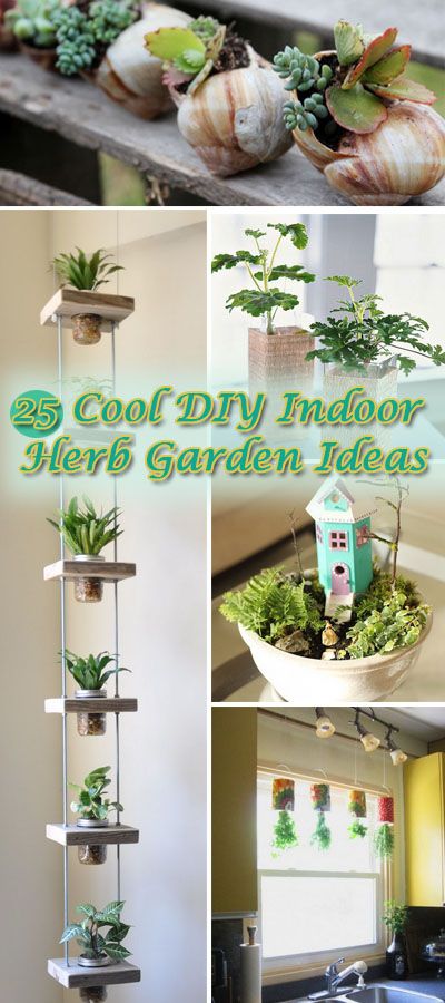 Cool DIY Indoor Herb Garden Ideas. 