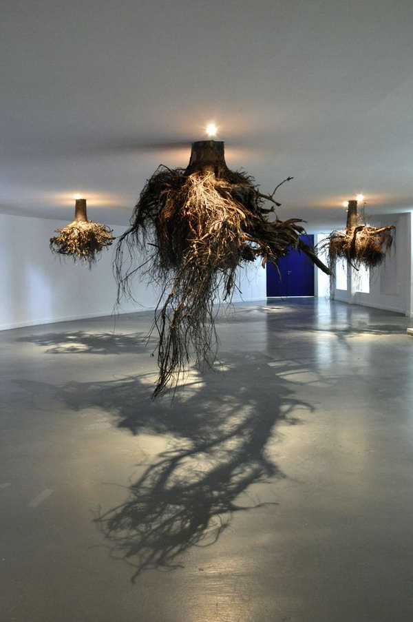 Tree roots emerge from the ceiling. Shadow art is a unique form of sculptural art that creates patterns on a wall or canvas using shadows or silhouettes. It is a cool art activity at home to entertain your family and friends.