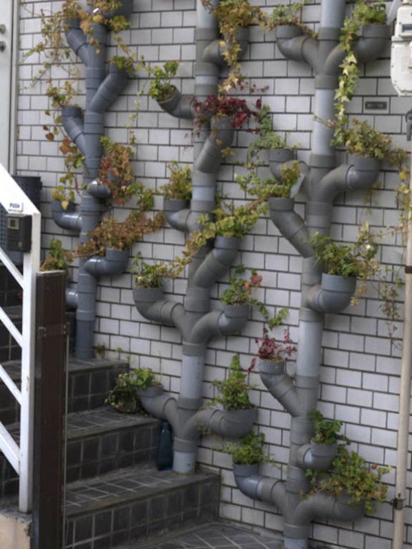 Vertical gardening from repurpose plumbing pipes. It allows plants to extend upward rather than grow along the surface of the garden. Doesn’t take a lot of space and look so beautiful at the same time.