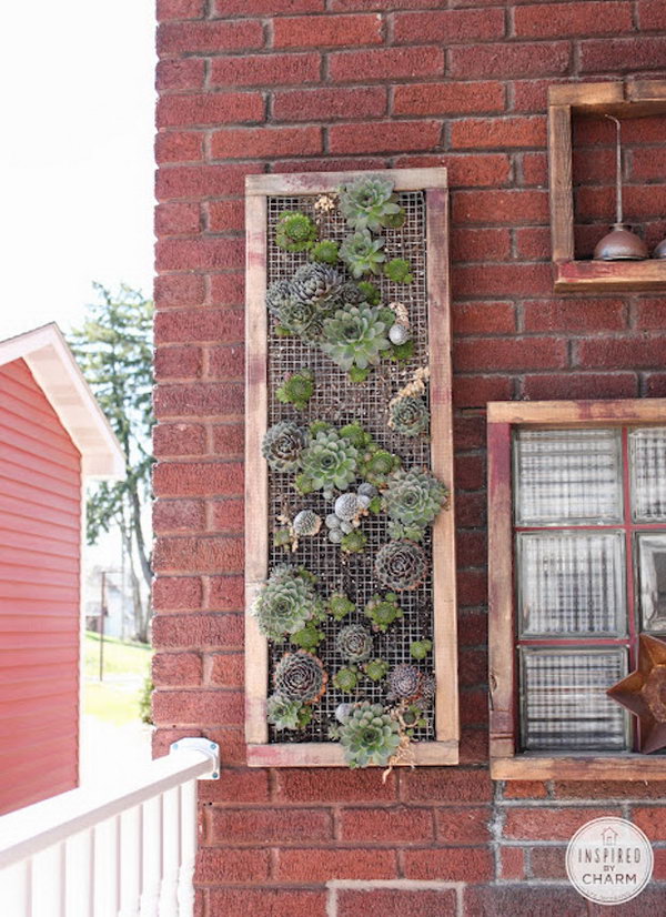 Wooden frame vertical garden. It allows plants to extend upward rather than grow along the surface of the garden. Doesn’t take a lot of space and look so beautiful at the same time.