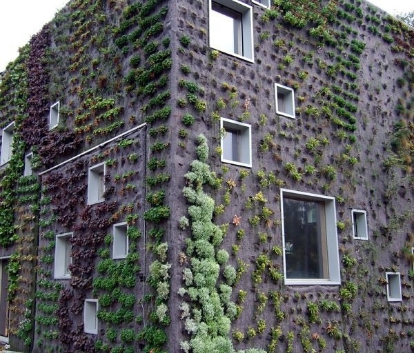 Living walls in the netherlands. It allows plants to extend upward rather than grow along the surface of the garden. Doesn’t take a lot of space and look so beautiful at the same time.