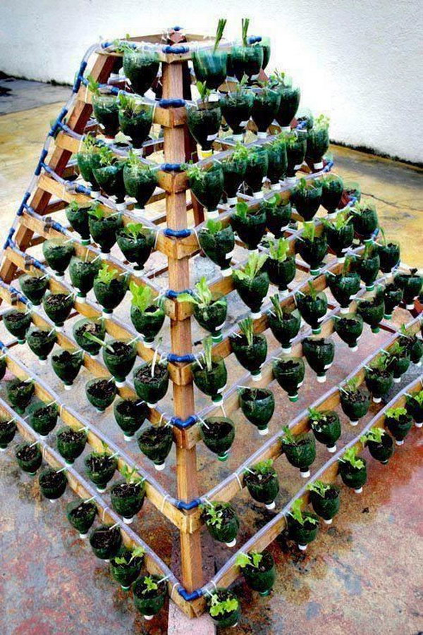 Vertical vegetable garden from plastic bottles. It allows plants to extend upward rather than grow along the surface of the garden. Doesn’t take a lot of space and look so beautiful at the same time.