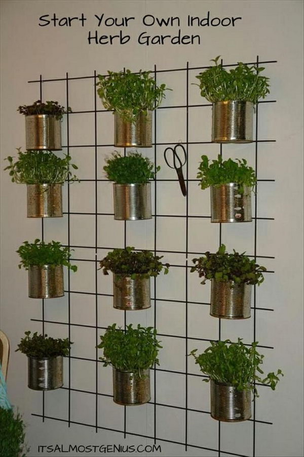 Indoor herb garden. It allows plants to extend upward rather than grow along the surface of the garden. Doesn’t take a lot of space and look so beautiful at the same time.