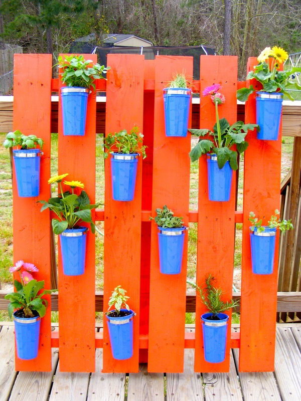 Pallet herb garden using dollar store cups. It allows plants to extend upward rather than grow along the surface of the garden. Doesn’t take a lot of space and look so beautiful at the same time.