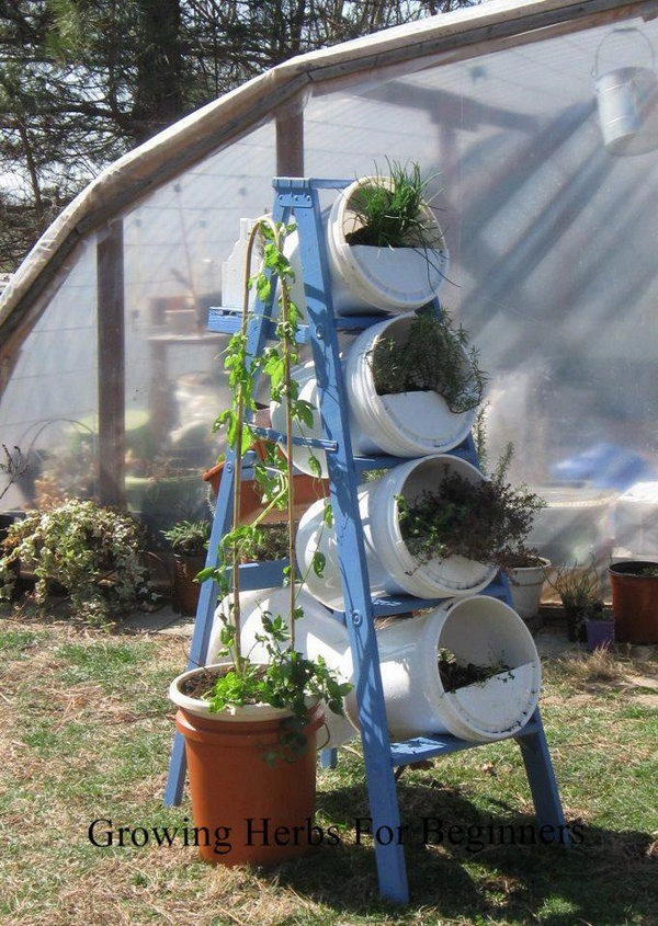 Buckets and ladder make vertical garden. It allows plants to extend upward rather than grow along the surface of the garden. Doesn’t take a lot of space and look so beautiful at the same time.