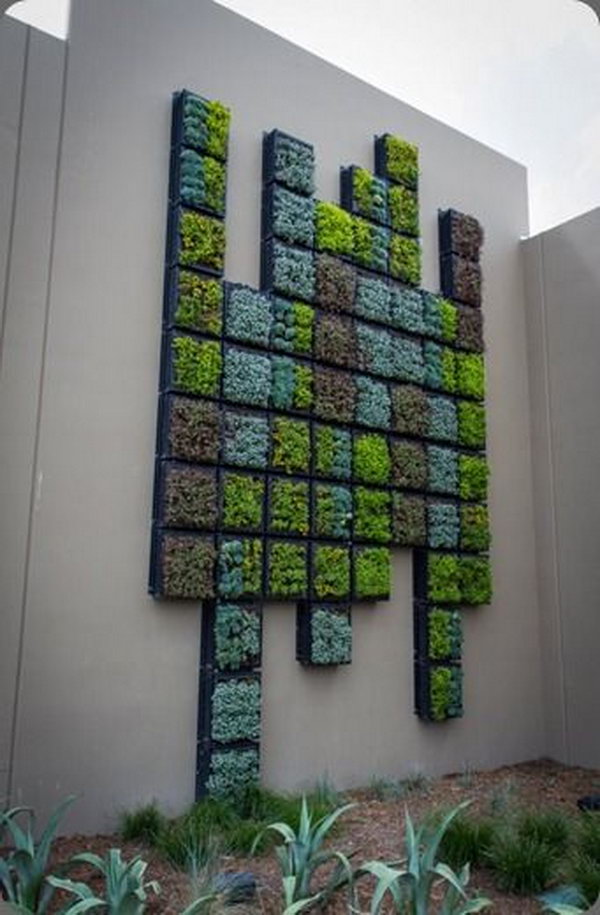 Wall of succulents. It allows plants to extend upward rather than grow along the surface of the garden. Doesn’t take a lot of space and look so beautiful at the same time.