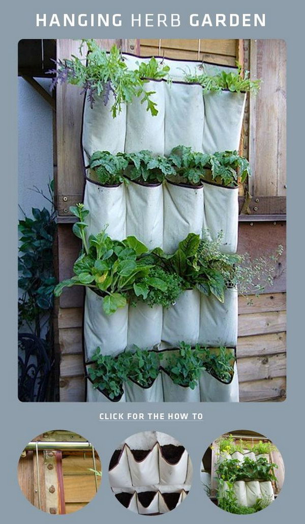 DIY shoe rack hanging herb garden. It allows plants to extend upward rather than grow along the surface of the garden. Doesn’t take a lot of space and look so beautiful at the same time.