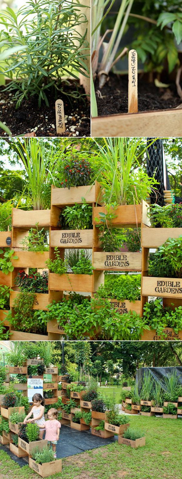 Vertical garden from old crates. It allows plants to extend upward rather than grow along the surface of the garden. Doesn’t take a lot of space and look so beautiful at the same time.