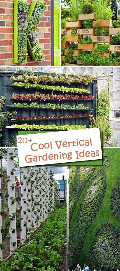 All these cool vertical gardening ideas allow plants to extend upward rather than grow along the surface of the garden. 